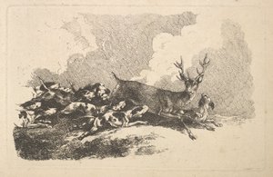 Hunde jagen einen Hirsch