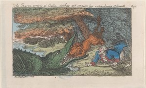 Der Baron kommt in Ceylon an, kämpft und besiegt zwei außergewöhnliche Gegner von Thomas Rowlandson