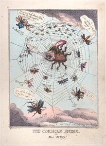 Die korsische Spinne in ihrem Netz!