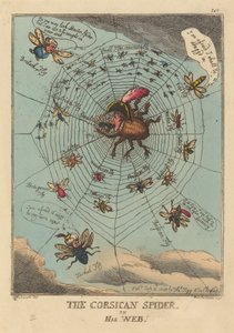 Die korsische Spinne in ihrem Netz