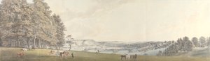 Eine Ansicht von Boxhill vom Norbury Park, Surrey von Thomas Sandby