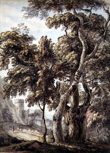 Studie von Bäumen von Thomas Sandby