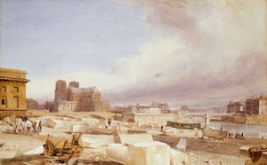 Notre Dame vom Quai St. Bernard von Thomas Shotter Boys