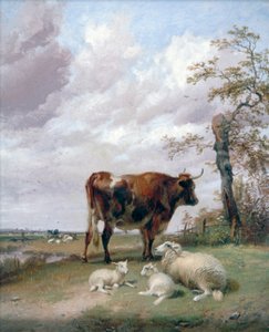 Canterbury Meadows, 19. Jahrhundert