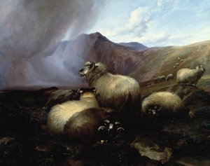 Hochlandschafe in einer bergigen Landschaft, 1854 von Thomas Sidney Cooper