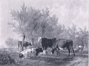 Landschaft mit Vieh, aus The Magazine of Art 1893, Cassell and Company von Thomas Sidney Cooper