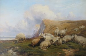 Shakespeare Cliff, Kent: Schafe auf Küstenweide von Thomas Sidney Cooper