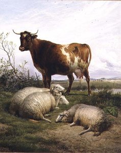 Schafe und eine Kuh beim Grasen von Thomas Sidney Cooper