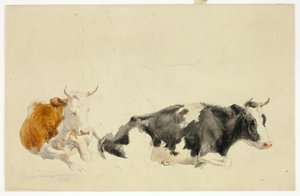 Zwei liegende Kühe (recto); Skizze einer stehenden Kuh (verso) von Thomas Sidney Cooper