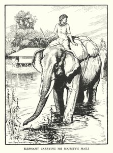 Elefant trägt die Post Seiner Majestät (Lithografie) von Thomas Somerfield