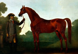 Mr. Charles Wilsons Araber mit einem Stallburschen von Thomas Spencer