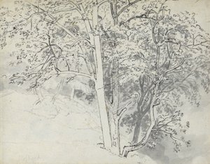 Studie von Bäumen von Thomas Stothard