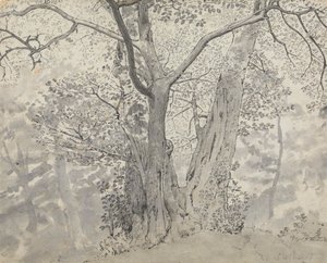 Baumstudie von Thomas Stothard