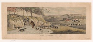 Meute Foxhounds jagt ein Reh in einen Teich