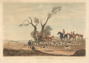 Zwei von vier: Die königliche Jagd. 1. Der Treffpunkt. von Thomas Sutherland