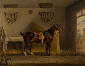 Ein gesattelter Brauner Jäger in einem Stall, ca. 1819 von Thomas Weaver