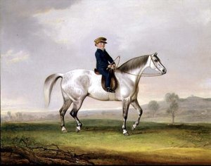 Master Edward Humphries auf seinem grauen Pony