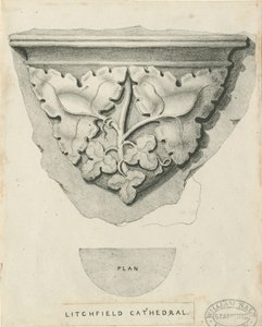 Innenraum der Lichfield Kathedrale - Geschnitztes Laubwerk von Thomas Witlam Atkinson
