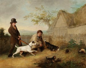 Rattenfangen