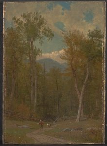 Landschaft