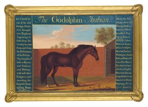 Der Godolphin Arabian von Thomas of Pall Mall Butler