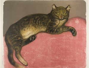 Winter: Katze auf einem Kissen