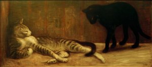 Kater und Katze