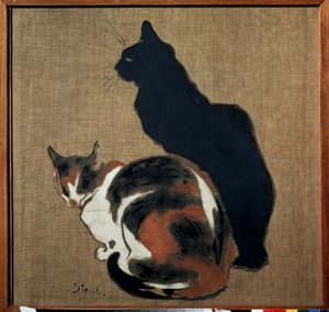 Zwei Katzen