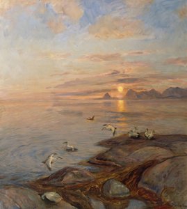 See Vögel in der Mitternachtssonne von Thorolf Holmboe