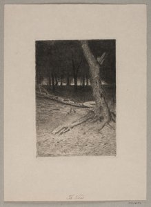 Waldinneres. Abend von Thorvald Niss