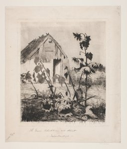 Sonnenblumen am Haus von Thorvald Niss