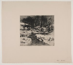 Winterlicher Wasserlauf bei einem Wald