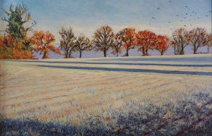 Frost auf dem Feld von Tilly Willis