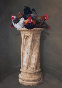Hühner, Augen nach unten