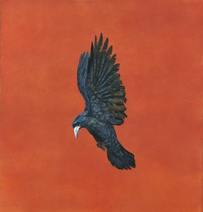 Glanz-Rot von Tim Hayward