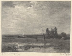 Landschaft, Nachmittag von Timothy Cole