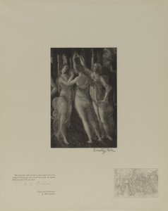 Alte italienische Meister von Timothy Cole