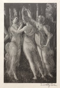 Alte italienische Meister: Die drei Grazien