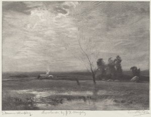 Tiefland von Timothy Cole after John Francis Murphy