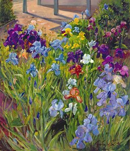 Schwertlilien und Schatten des Sommerhauses, 1996