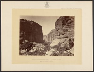Oberes Ende des Cañon de Chelle, Blick abwärts. Die Wände sind etwa 1,200 Fuß hoch. von Timothy H. O