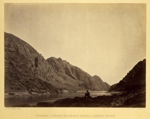 Iceberg Canyon, Colorado River, Blick nach oben von Timothy H. O