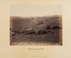 Ereignisse des Krieges: Eine Ernte des Todes