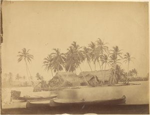 [Limón-Bucht, Isthmus von Darién (Panama)]