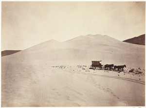 Sanddünen, Carson-Wüste, Nevada