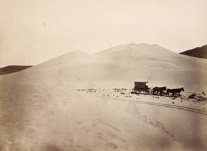 Sanddünen, Carson-Wüste, Nevada von Timothy H. O
