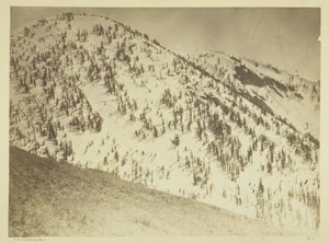 Schneegipfel, Bull Run Bergbaudistrikt, Nevada von Timothy O