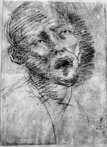 Kopf eines Mohren, ca. 1525, 1937 von Tiziano Vecelli