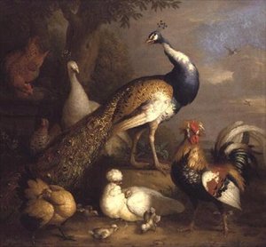 Pfau, Pfauhenne und Geflügel in einer Landschaft von Tobias Stranover