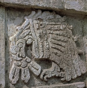 Relief eines Adlers, Tempel des Quetzalcoatl von Toltec Toltec
